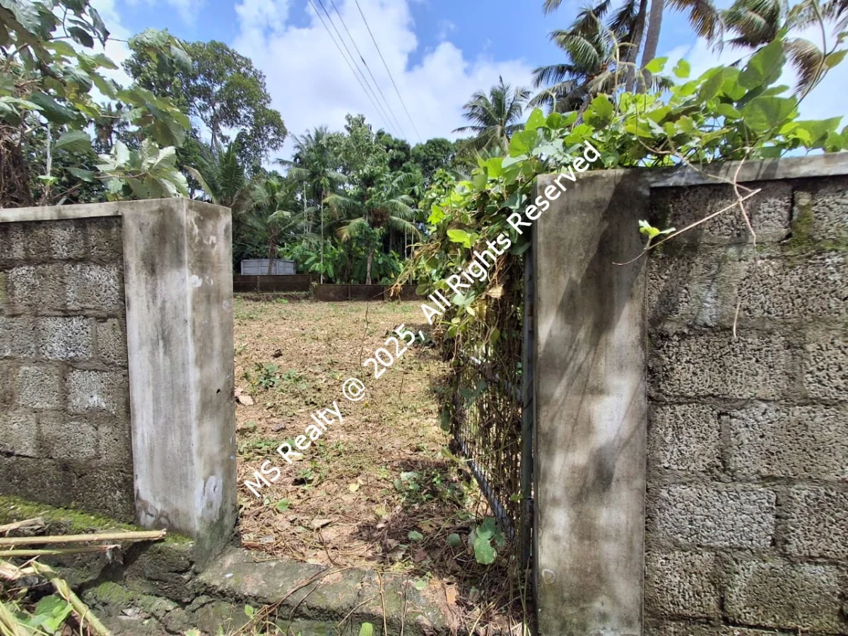 Riverside 12.5 Cents of Scenic CRZ-III Land at Thattampady, North Paravur for Sale in Manjaly
