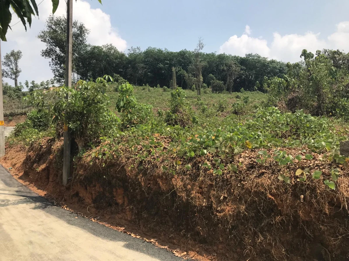 40 cent plot for sale Maneed, Vettithara, Piravom in Choondy