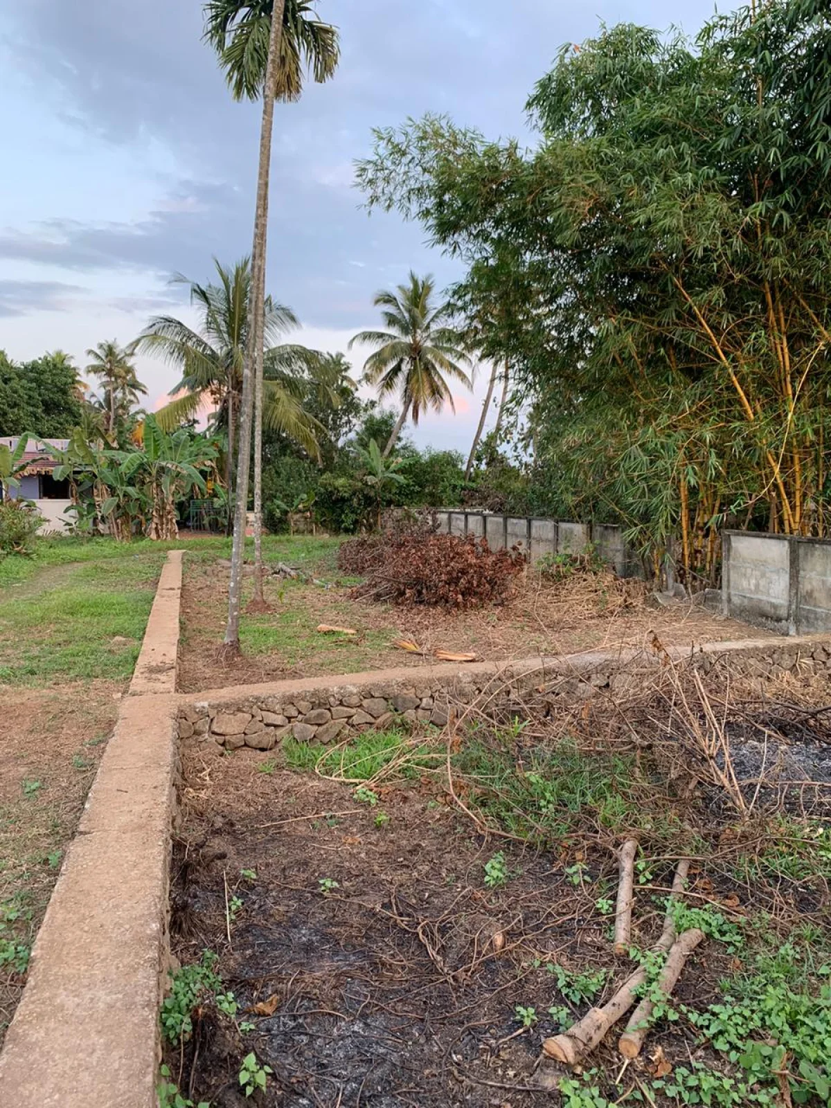 20 Cents Land in Kothad near Aster in Cheranallor