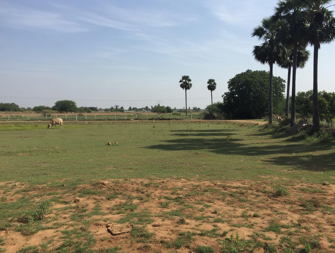 Plot for sale at Maraimalai Nagar in Karayambedu